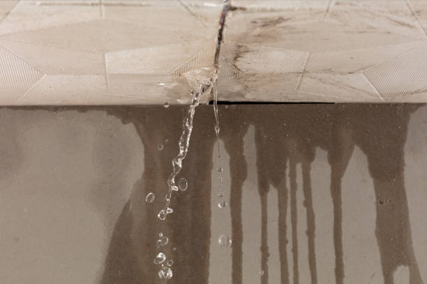 Professional Water Damage Repair technician working in Bow, WA